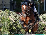 FRANCO Vinco io GioCav2013 S6 7739 : Campionati Italiani Giovani Cavalli, Cattolica, FRANCO Francesco, Vinco io, ph Stefano Secchi ©